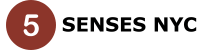 Five Senses NYC